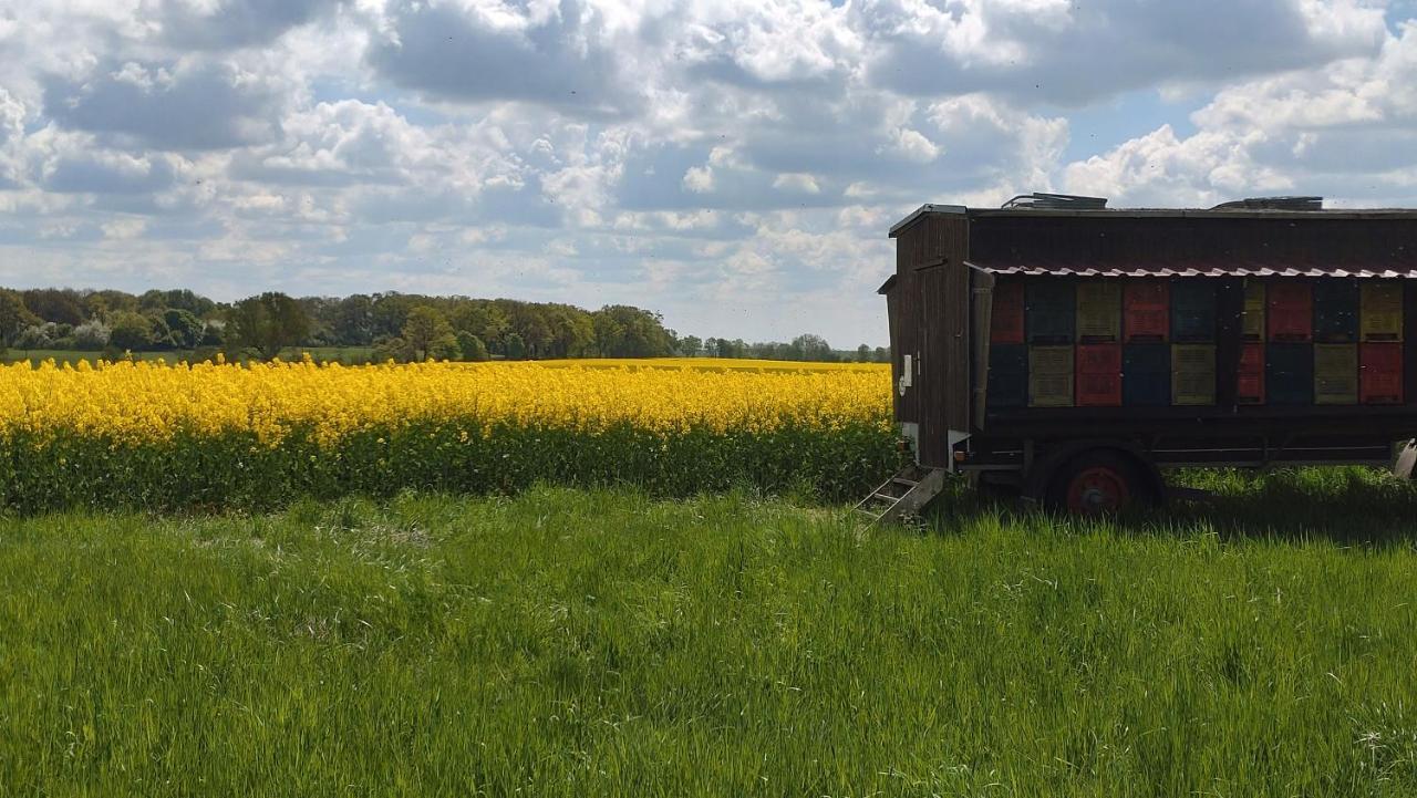 Grosszuegige Ferienwohnung Mit Weitem Ausblick Lichtenberg  Exterior foto